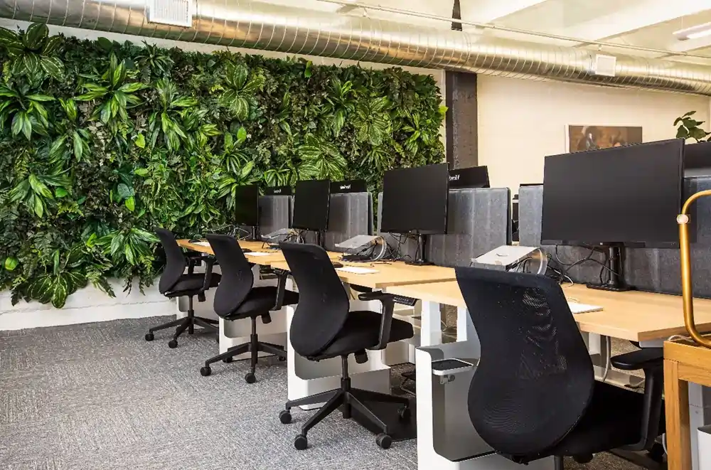 10 office greenery delhi