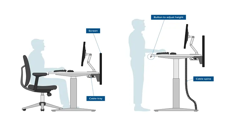 What is an Ergonomic Workspace? A Complete Guide